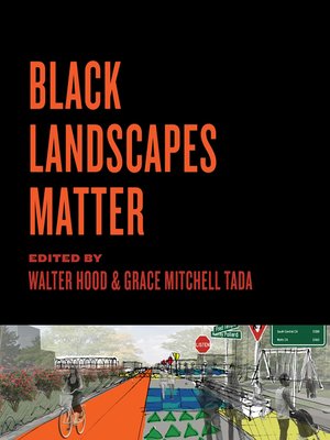 cover image of Black Landscapes Matter